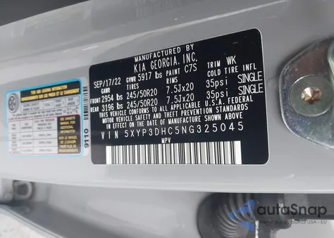 2022 Kia Telluride Ex from USA, damaged, VIN 5XYP3DHC5NG325045